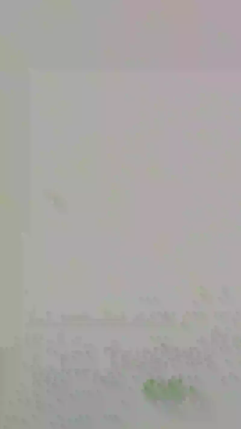 Insta Reels Dandly 02 S 03bac06aa3