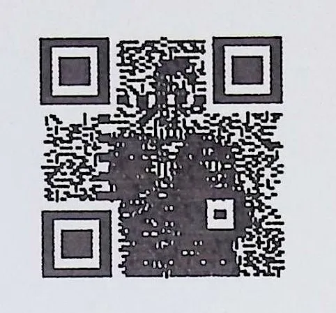 Adaptations Leading to Reimplementation