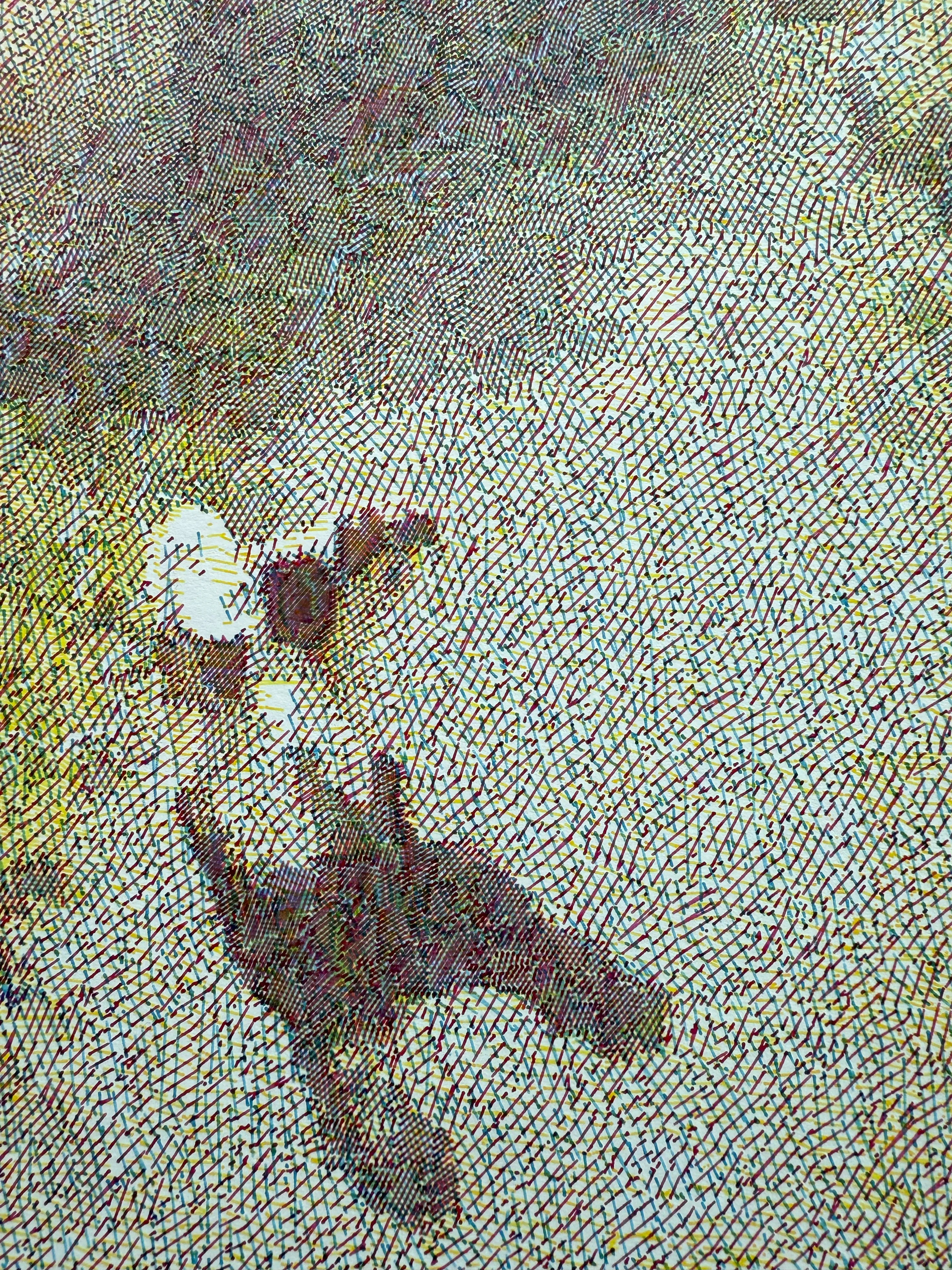 RSTR CMY Pet Plot Detail